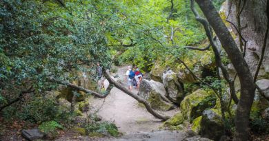 Авто-пешеходная экскурсия из Алушты (фото 29)