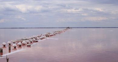 Экскурсии в Озеро Сасык-Сиваш (розовое озеро) из Краснокаменки 2024