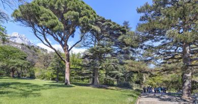 Авто-пешеходная экскурсия из Алушты (фото 11)